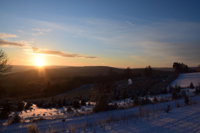 Sonnenuntergang über den Christbaumkulturen am Bergsee Sonnenuntergang mit Blick über die verschneiten Christbaumkulturen von Christbaum Klug