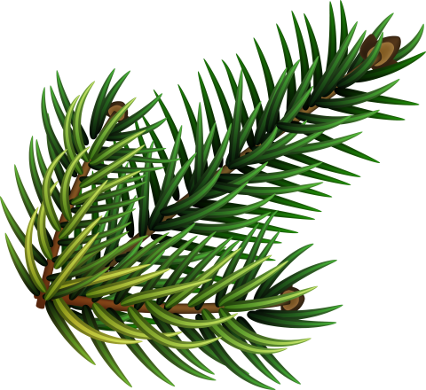 Tannenzweig-Symbol zur Mitteilung der Umfirmierung Tannenzweig zur Information über die Umfirmierung zu Christbaum Klug eGbR