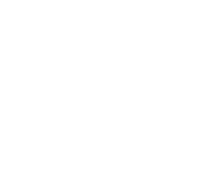 Christbaum-Klug Logo Logo von Christbaum-Klug mit Tannenbaum-Symbol
